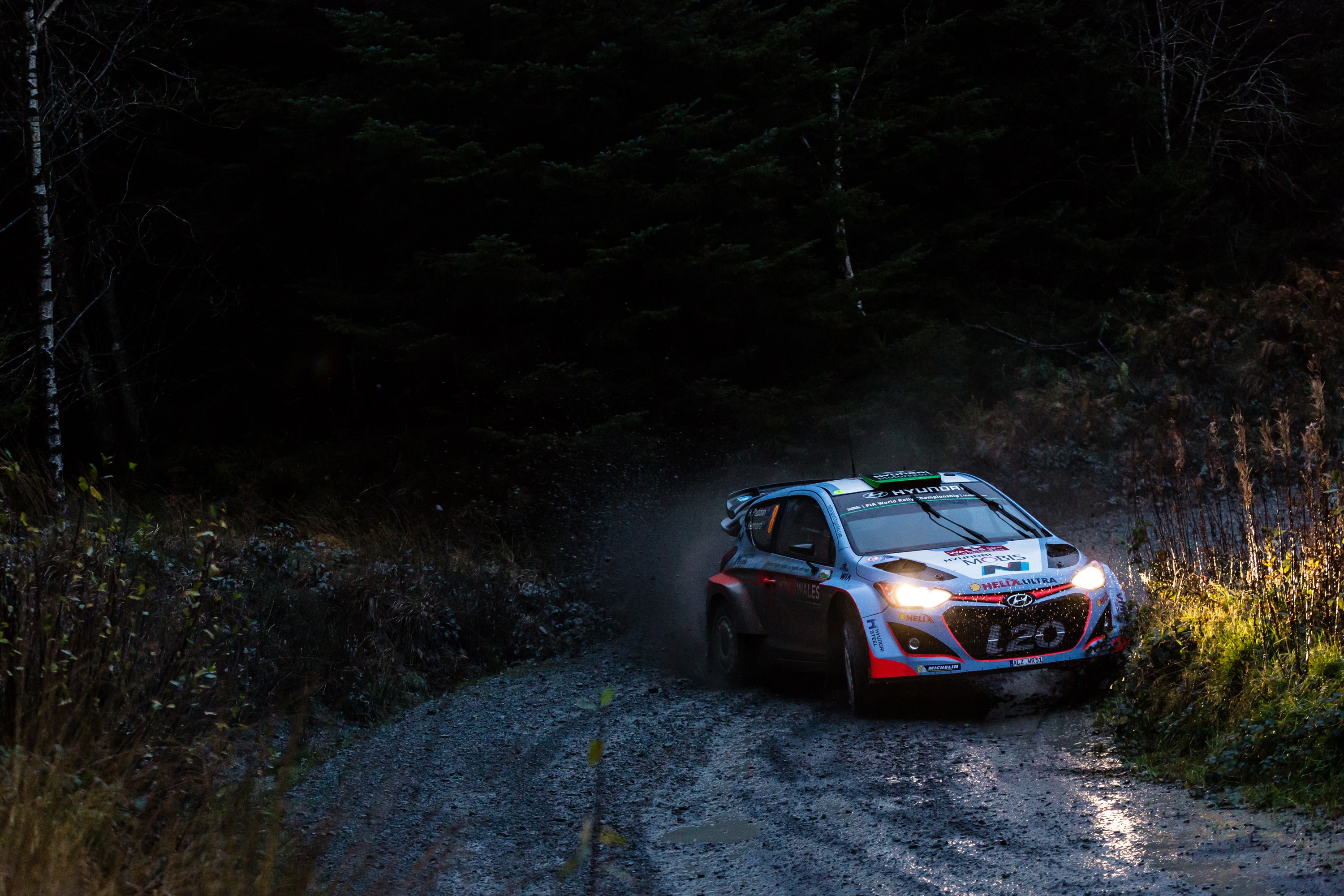 WRC2015-7