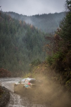 WRC2015-22