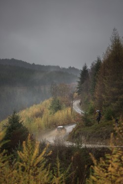 WRC2015-24
