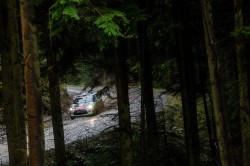 WRC2015-25