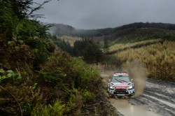 WRC2015-39